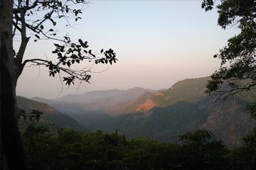 Wildernest Valley View Cottages Goa