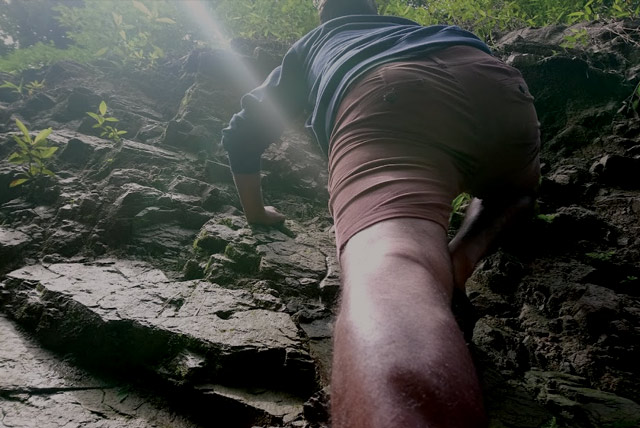 Activities at Wildernest Nature Resort Goa