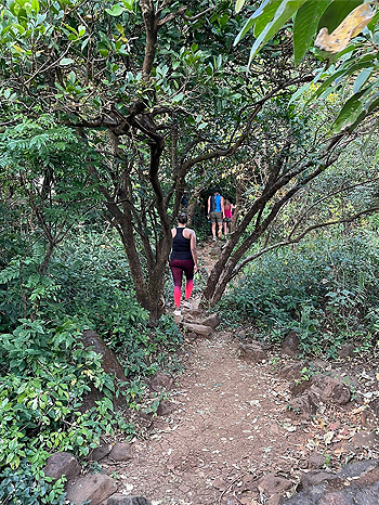 Trekking Activity at Wildernest Goa and Swapnagandh Resort