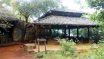 Wildernest Restaurant Area