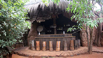 Wildernest Bar Area