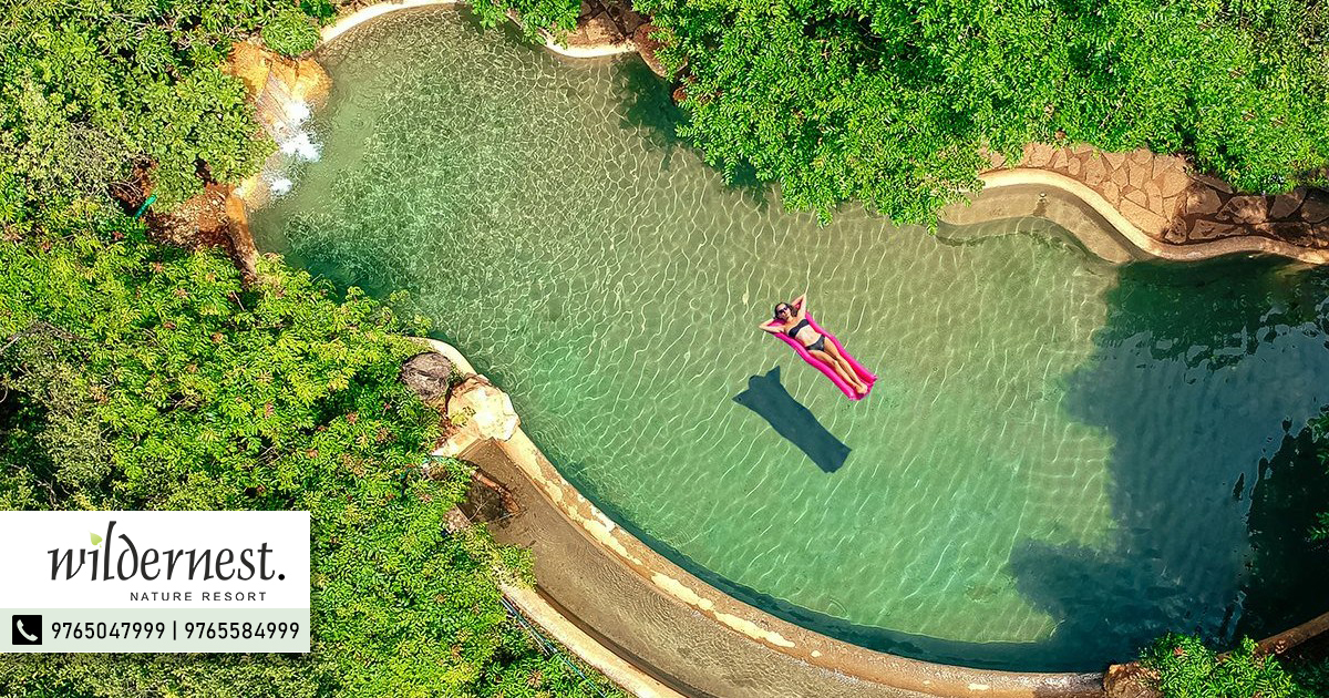 relax in the infinity swimming pool at the Wildernest Nature Resort Goa - with view of the valley