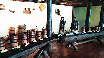 Activities at Wildernest Nature Resort Goa